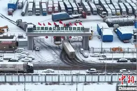 湖南道州脐橙进军中亚市场 打造脐橙产业强县图片