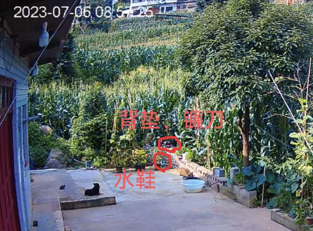 贵州农妇遇害案再审：“被动坦白” 能否作为轻判依据？