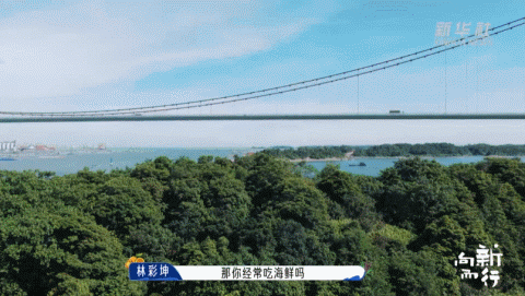 新华社携手董宇辉，走进广西的蔚蓝海岸……