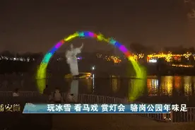 合肥各地今天“闹元宵”安排发布图片