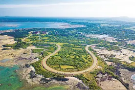 海南环岛旅游公路全线通车 主线全长988公里，沿途经过9类84段景观区域图片