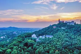 国际森林日丨上海林业发展：现状与展望图片