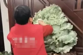 烟台家政保洁市场订单爆满，价格上涨图片