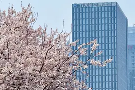 落地7大项目、注册11家企业、盘活资产10万平方米、完成固投21亿元 ——方大重庆航空城在渝北何以跑出“加速度”?图片