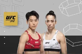 对话｜王聪：八角笼比想象中更危险，金腰带是不变的目标图片