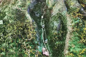 科技护航，道地药材焕新生（道地药材巡礼·吉林篇）图片