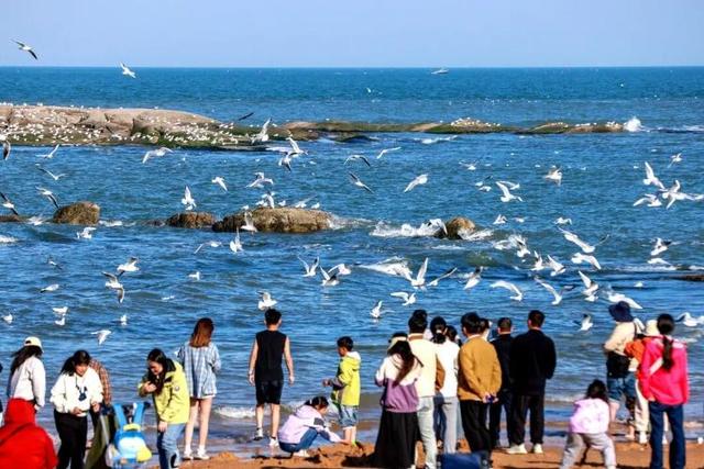 谁能拒绝日照的春天