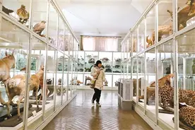 天津“活化石”博物院春节不打烊图片