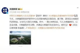 首批40只！大熊猫国家保护研究中心北京基地明年内开园图片