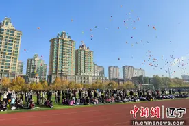 趣味+科学 沈阳铁西区中小学纸飞机大赛受热捧图片