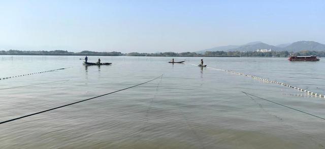 浙江德清下渚湖：千年渔祭传古韵 文旅盛宴飨宾朋