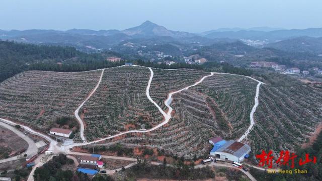 衡山：旅发大会红利持续释放水果基地成冬季游“新宠”