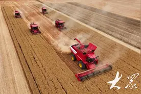 高效低损农机助力粮食颗粒归仓图片