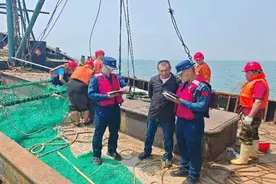 青岛海警局胶州工作站扎实开展伏休期间防控处置浒苔专项执法工作图片