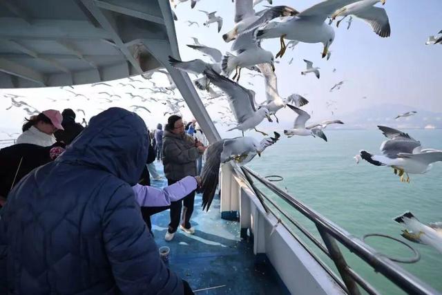 荣成清明出游全攻略，美景优惠两不误