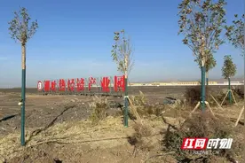 援疆十年·自然筑梦丨产业路上，火焰山如何“热”力全开图片
