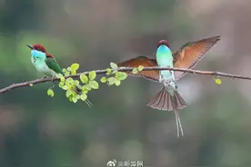 5月20日20时59分迎来小满图片