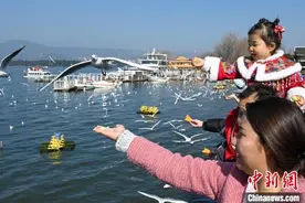 昆明环滇池湿地植被覆盖率超80% 植物物种增至303种图片