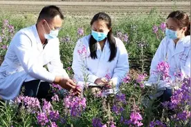 锡林郭勒职业学院科技力量助力乡村振兴图片