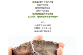 “重塑哪吒”非藕不可？杜仲或许更合适！图片