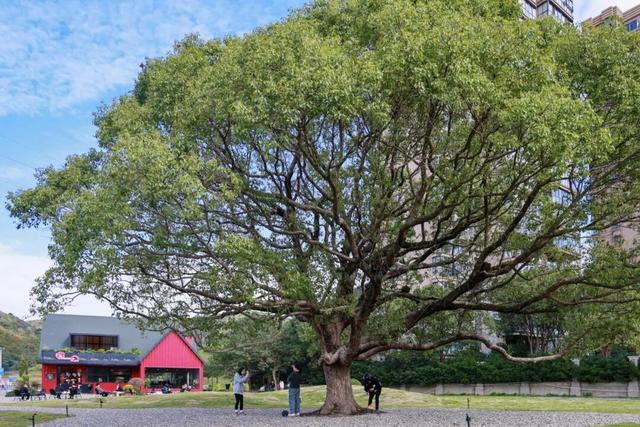这波不亏！快来舟山这里浪！