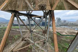 喜鹊在高压线塔上筑巢生娃了怎么办？ 看“电力奶爸”安个新家图片