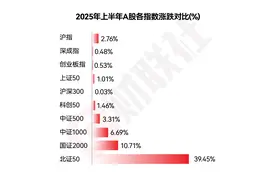 年中盘点2025上半年十大牛熊股出炉：两只ST涨超300% 三只北交所股挤进前十图片