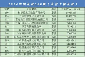 山东省第一！东营13家企业入围2024中国企业500强图片
