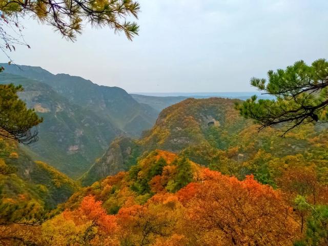 崆峒秋韵：云海、红叶与古建的私语