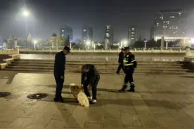 遛狗不拴绳，烟台一市民被罚！图片