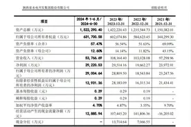陕西水电IPO“已问询” 此前曾分红超两亿元图片