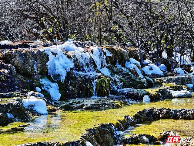 一半冰雪，一半碧波，冬日黄龙的色彩魔术