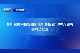杉杉股份间接控股股东杉杉控股1300万股将被司法处置视频封面