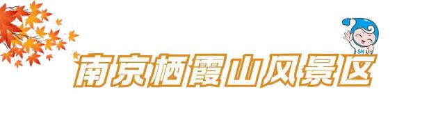 体荟四季|秋日遛娃去哪?答案藏在这5座森林公园里