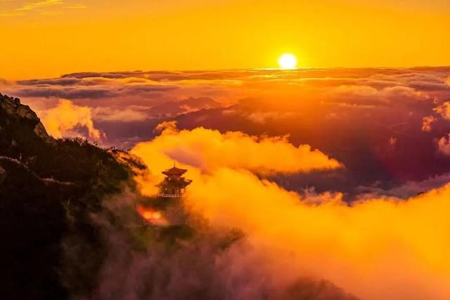 滴！重阳暖心免票福利→这张秋日『头等舱』车票请签收！