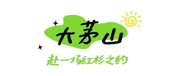 上饶冬日山野真的绝美，赶紧进山“Forest walk”一下~