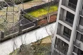 来电照登丨居民区旁设有高压线图片