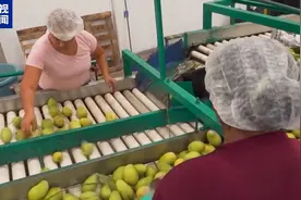 洛杉矶惊现新兵种，两大因素引爆加州“内战”升级图片