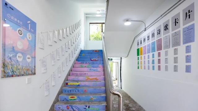 “燕窝”里藏着一片“小宇宙”
