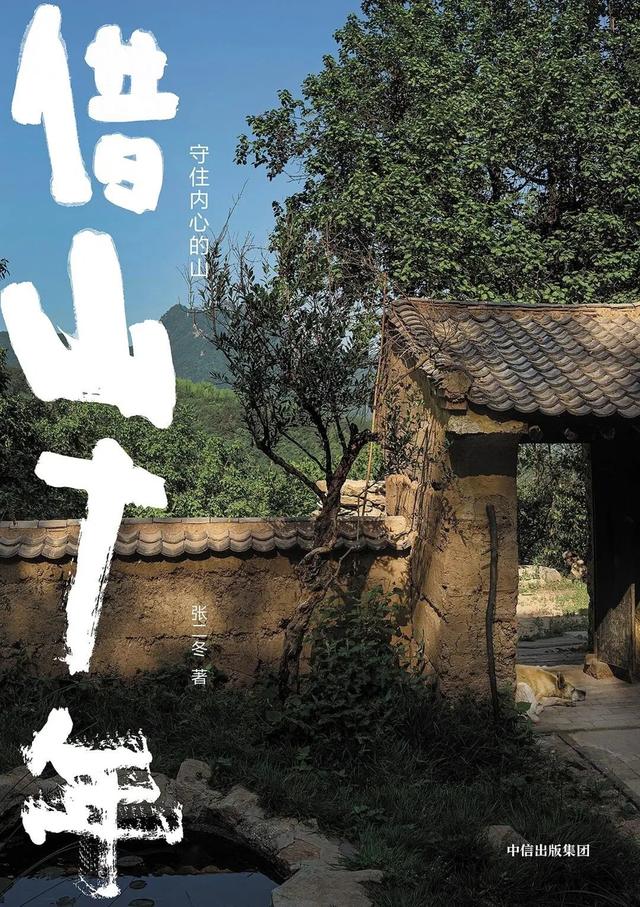 一位青年在山中生活十年，日常最快乐的事就是瞎折腾