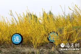 宜君：和美乡村百姓日子甜图片