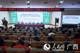 第四届广西粽子文化节在河池举行图片