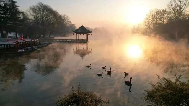 冬天，遇见不一样的潍坊！