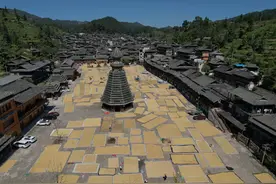 贵州从江：秋日侗寨“晒”丰收盛景图片