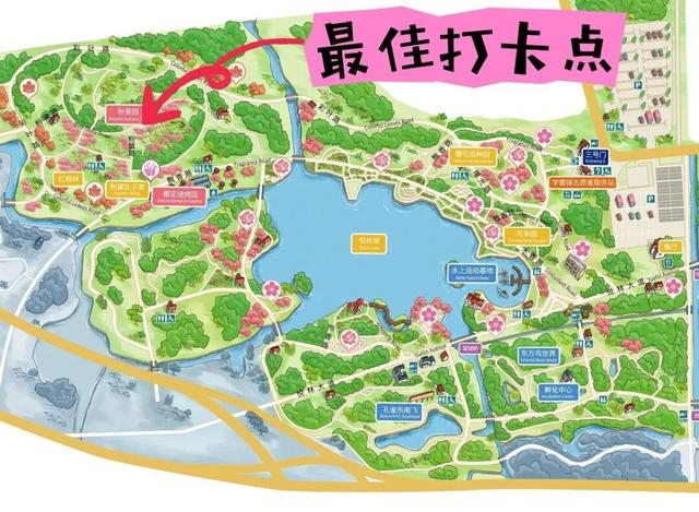 想拍秋日童话照？这里有大片的“粉红海洋”→
