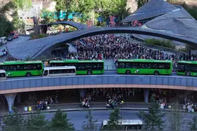 #九寨沟的调度能力太强了#上热搜，五招揭秘景区调度“智慧”图片