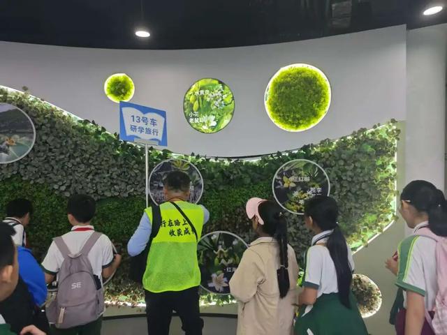 东寨港红树林研学进行时，自然课堂里的欢乐时光～