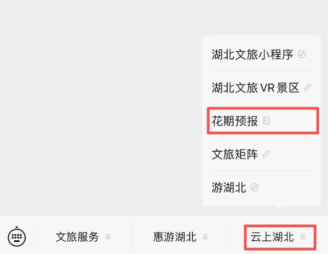 暴雨将停，AI赏花一键直达！