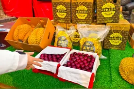 国产大樱桃抢先上市，成新发地水果价格“天花板”图片