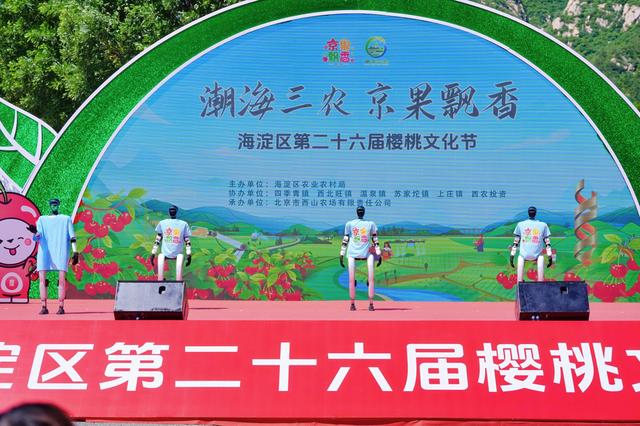 当樱桃遇上AI 来海淀赴一场科技与田园的甜蜜约会
